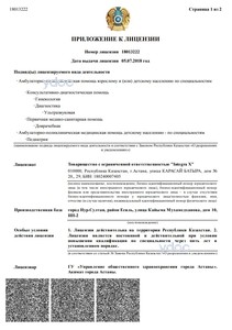 Приложение к лицензии Приложение к лицензии