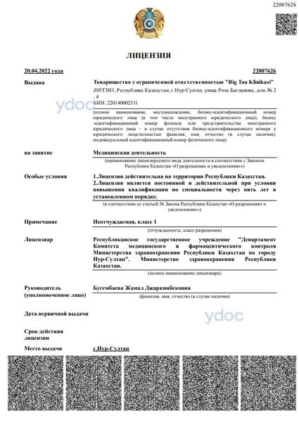 Лицензия Лицензия