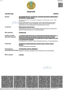 Лицензия Лицензия