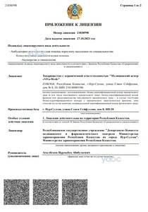 Приложение к лицензии