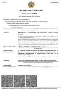 Приложение к лицензии