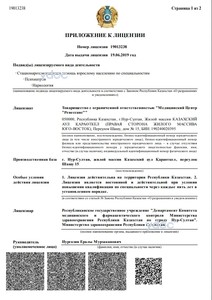 Приложение к лицензии