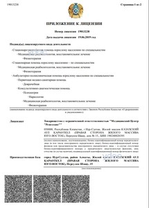 Приложение к лицензии