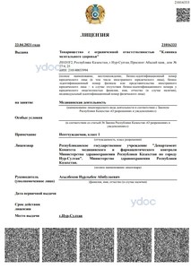 Лицензия Лицензия