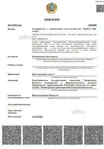 Лицензия Лицензия