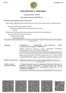 Приложение к лицензии