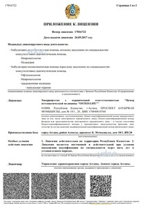 Приложение к лицензии