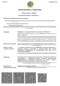 Приложение к лицензии