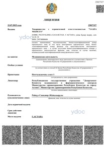 Лицензия Лицензия