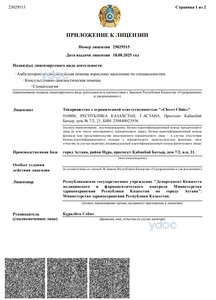 Приложение к лицензии