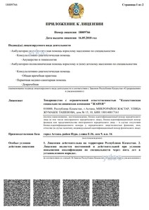 Приложение к лицензии