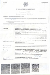 Лицензия Лицензия