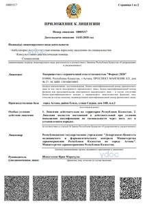 Приложение к лицензии