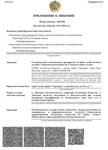 Приложение к лицензии