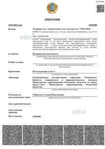 Лицензия Лицензия