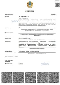 Лицензия Лицензия