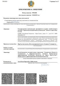 Приложение к лицензии