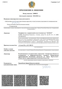 Приложение к лицензии