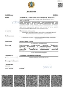 Лицензия Лицензия