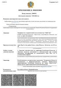 Приложение к лицензии