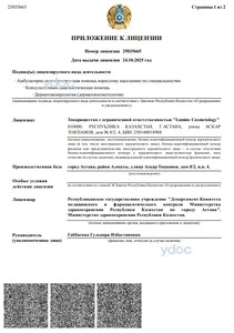 Приложение к лицензии