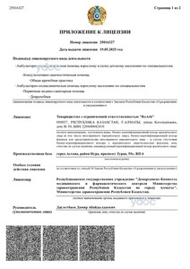 Приложение к лицензии