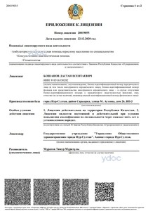 Приложение к лицензии