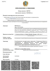 Приложение к лицензии