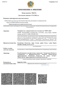 Приложение к лицензии Приложение к лицензии