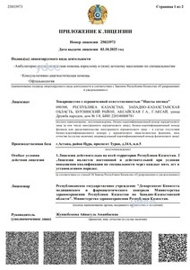 Приложение к лицензии