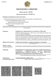 Приложение к лицензии Приложение к лицензии