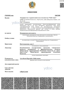 Лицензия Лицензия