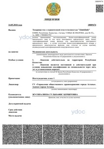 Лицензия Лицензия