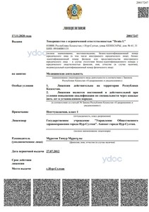 Лицензия Лицензия