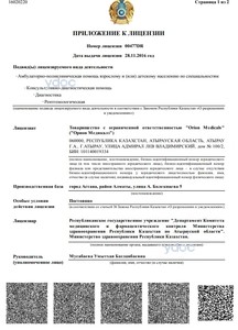 Приложение к лицензии