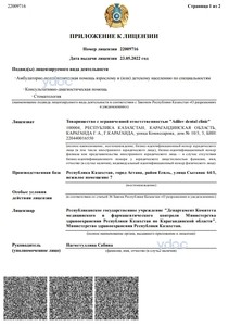 Приложение к лицензии Приложение к лицензии