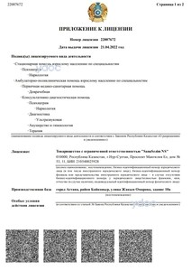 Приложение к лицензии