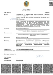 Лицензия Лицензия