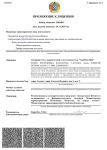 Приложение к лицензии