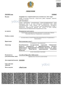 Лицензия Лицензия