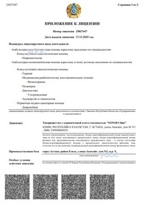 Приложение к лицензии