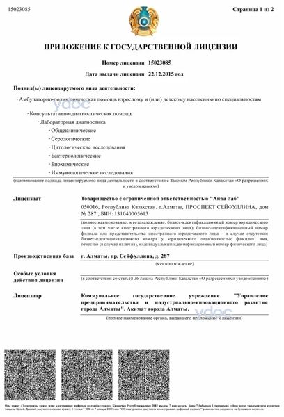 Лицензия Лицензия