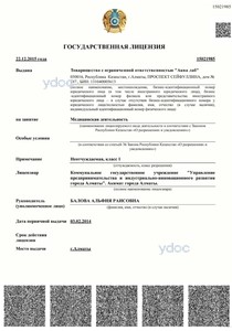 Лицензия Лицензия