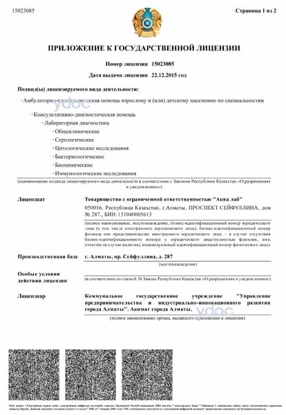 Лицензия Лицензия