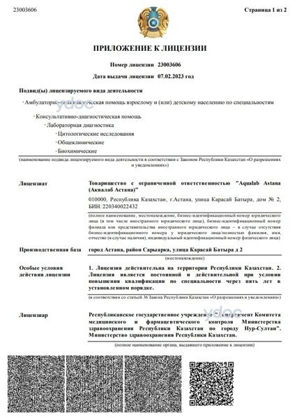 Лицензия Лицензия