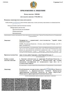 Приложение к лицензии Приложение к лицензии