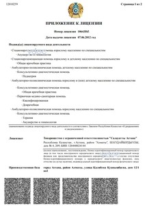 Приложение к лицензии