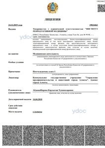 Лицензия Лицензия