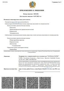 Приложение к лицензии