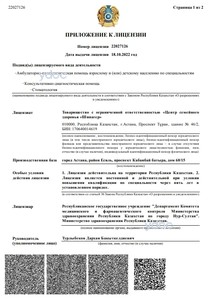 Приложение к лицензии